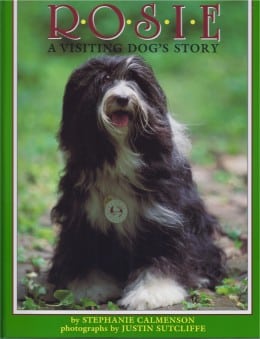 Stephanie Calmenson ROSIE, A VISITING DOG'S STORY