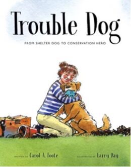 Trouble Dog cover